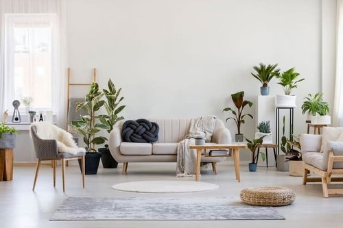 Create a plant loving home