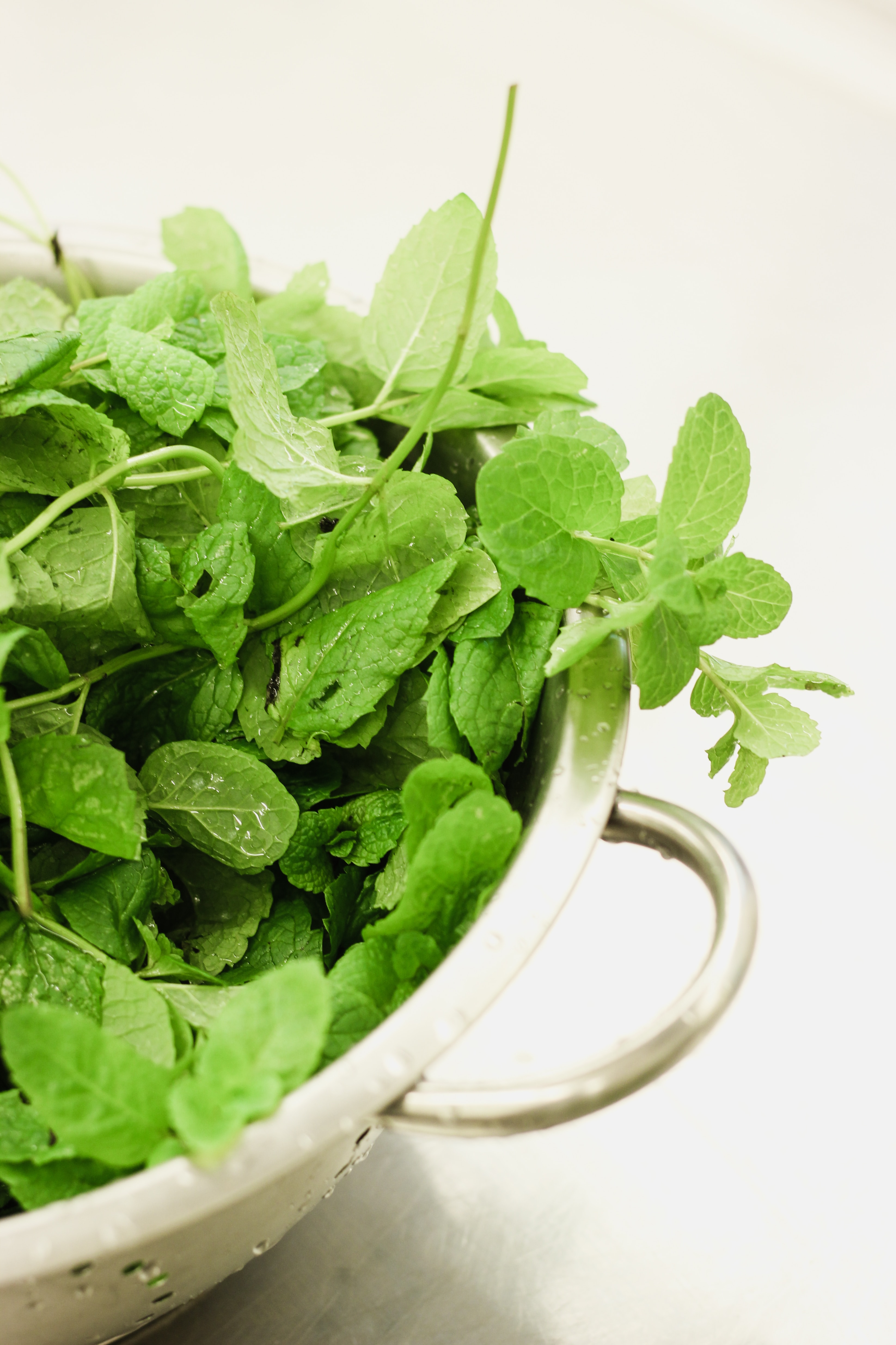 Medicinal plants