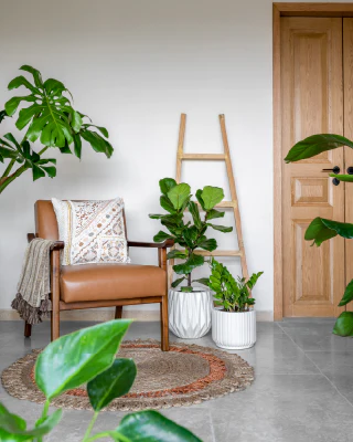 Pots and planters